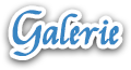 galerie-shd